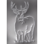 tin plate