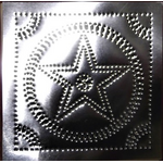 RPE 1013 punched tin