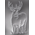 Tin Plate