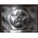 RPE 1013 14 x 10 Horizontal